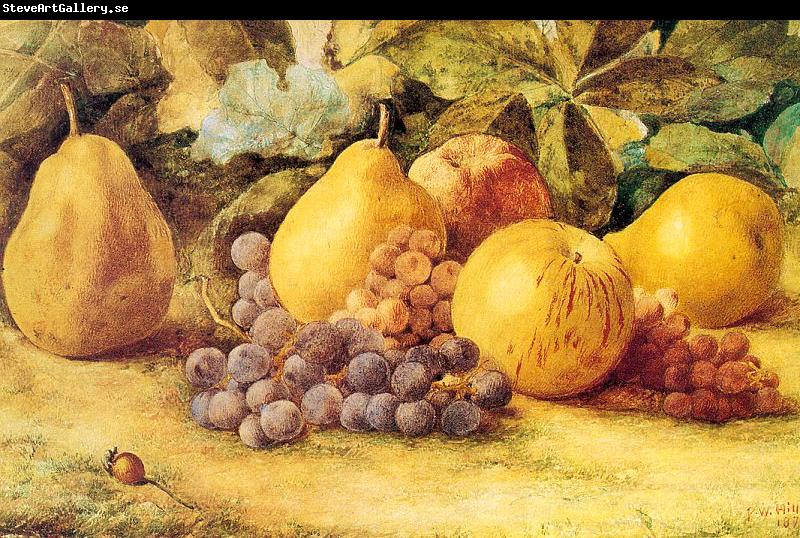 Hill, John William Apples, Pears, and Grapes on the Ground